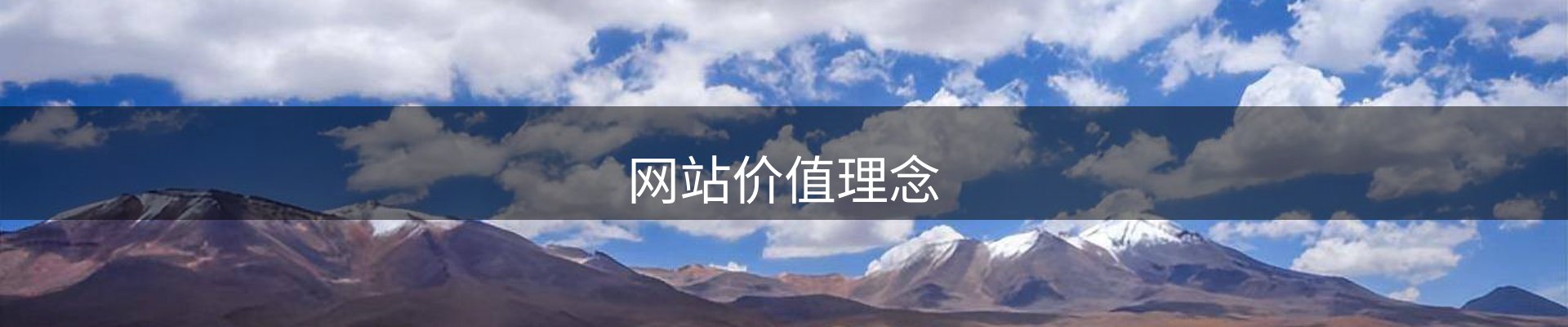 网站价值理念